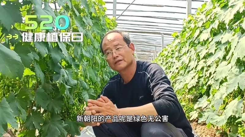 520健康植保日——擁抱綠色農(nóng)業(yè)，我們在行動