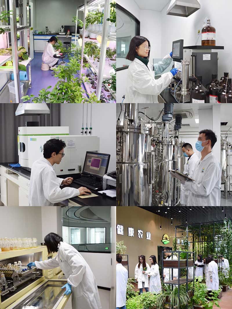 “全國(guó)科技工作者日”：推動(dòng)農(nóng)業(yè)綠色高質(zhì)量發(fā)展，新朝陽(yáng)科研人在路上