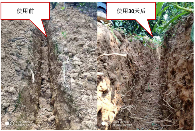 “土壤板結(jié)克星”：土壤調(diào)理劑你了解多少？