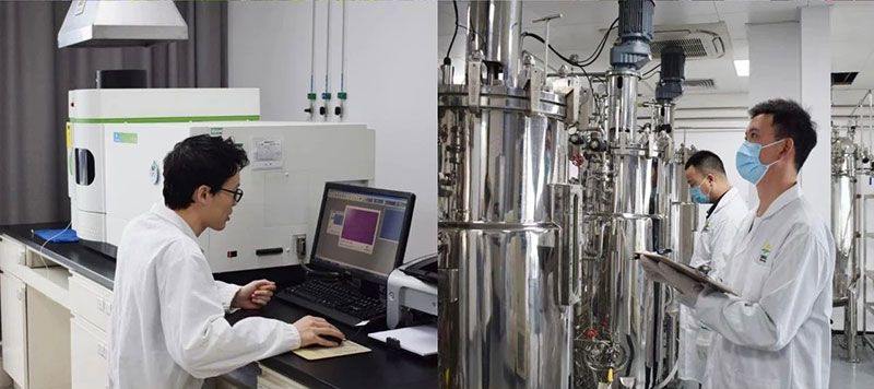 打造新朝陽生物科技“五張名片”，服務(wù)農(nóng)業(yè)高質(zhì)量發(fā)展！