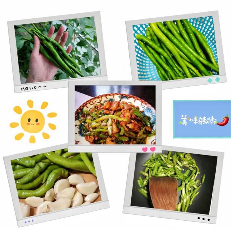 朝陽(yáng)農(nóng)藝師系列活動(dòng)